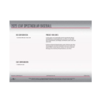 2025 Leaf Spectacular Baseball 3-Box Case - Image 13