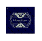 2025 Panini National Treasures Football Hobby Box