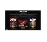 2026 Upper Deck AEW Wrestling Allure Hobby 18-Box Case - Image 2